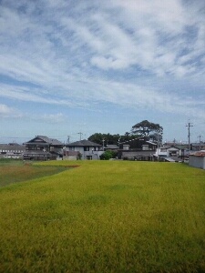 a0243388_1333222.jpg