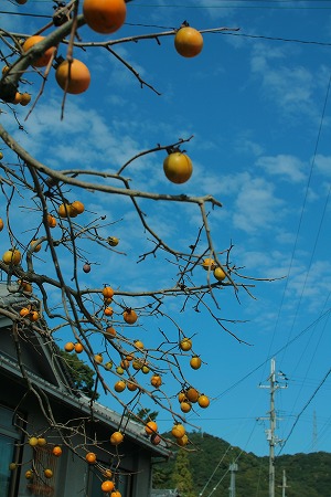 a0243388_1341635.jpg