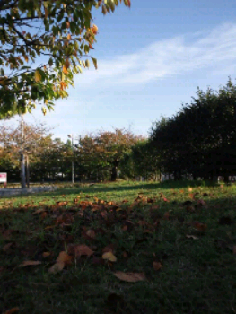 a0243388_1344241.png