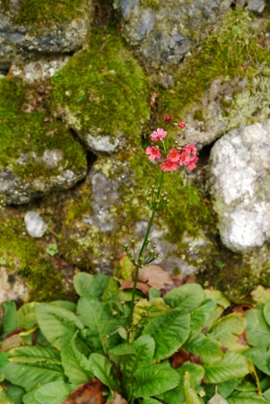 b0226089_2149349.jpg