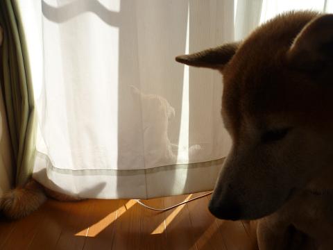 c0123890_21481250.jpg