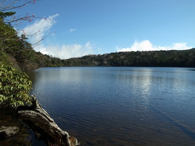 e0271890_12222481.jpg