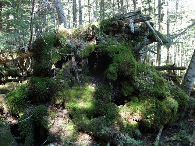 e0271890_1233231.jpg