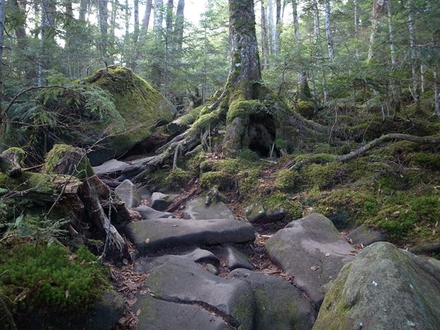 e0271890_1315310.jpg
