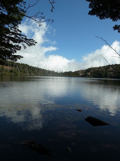 e0271890_194628.jpg