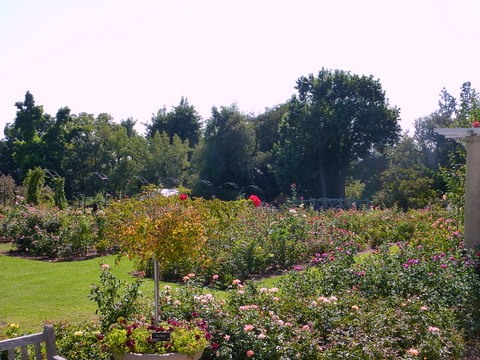 f0121591_11313853.jpg