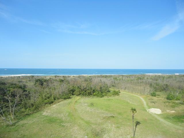 f0131491_1845623.jpg