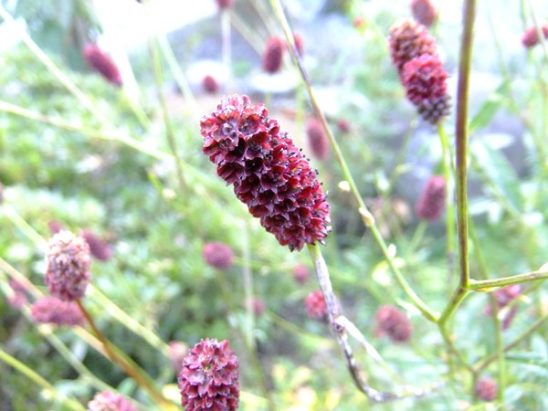 f0215591_223507.jpg