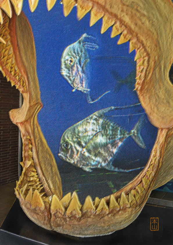 f0018492_19492369.jpg