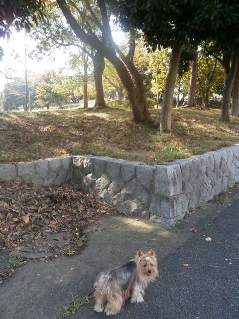 f0130894_2158231.jpg