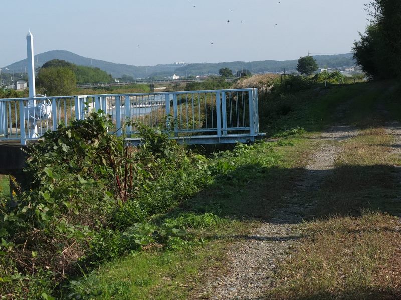 b0212396_1347498.jpg