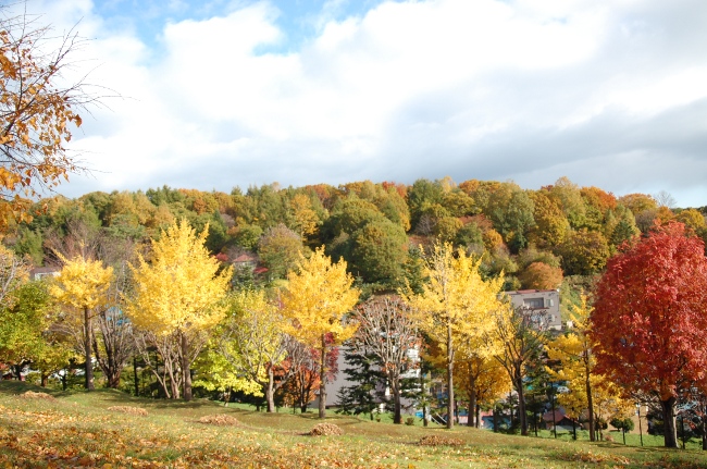 c0125899_144492.jpg