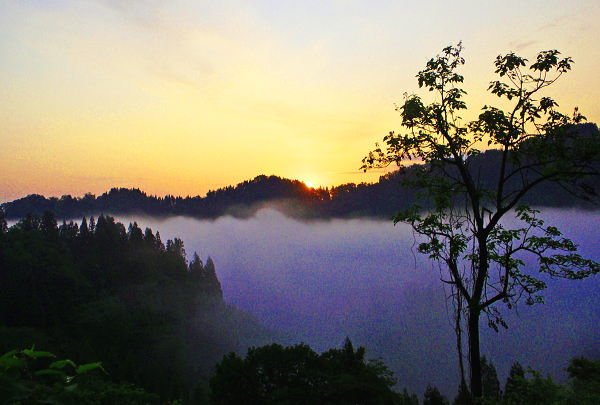 c0074000_22492717.jpg