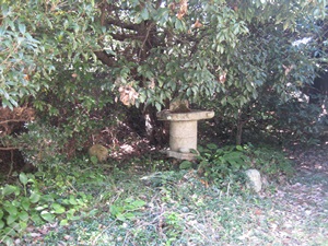 d0240201_13151950.jpg