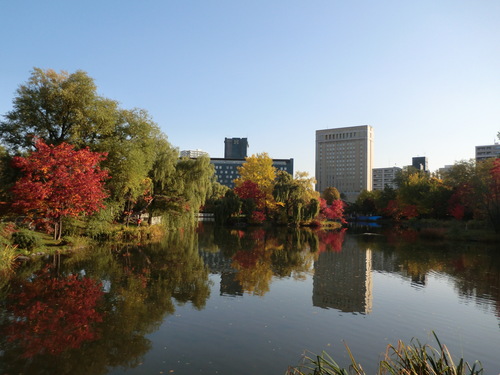 e0242504_20153740.jpg