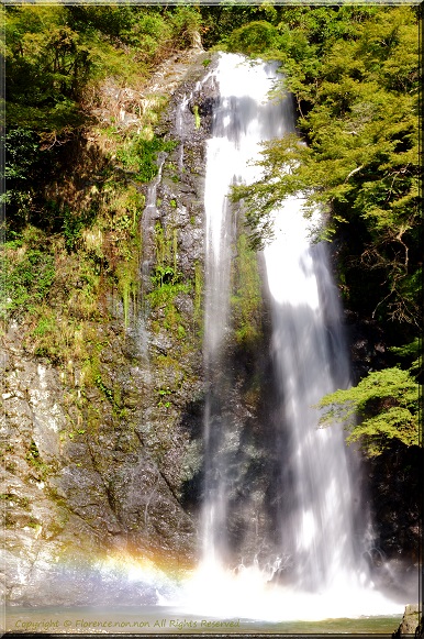 e0137705_22265894.jpg