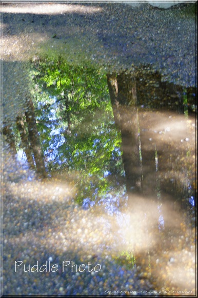 e0137705_22415782.jpg