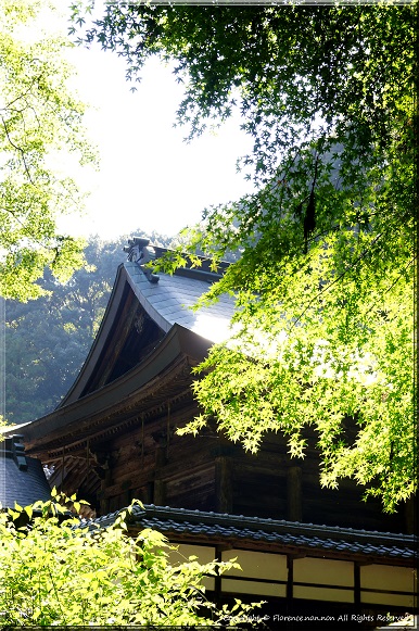 e0137705_22503389.jpg