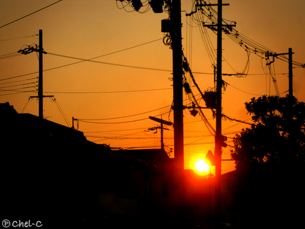 a0154706_7435345.jpg