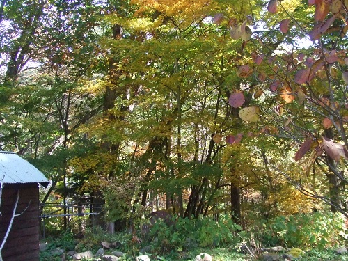 f0161708_22203545.jpg