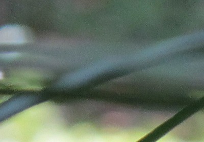 c0178009_2059076.jpg