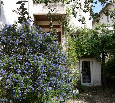 e0128909_1541919.jpg