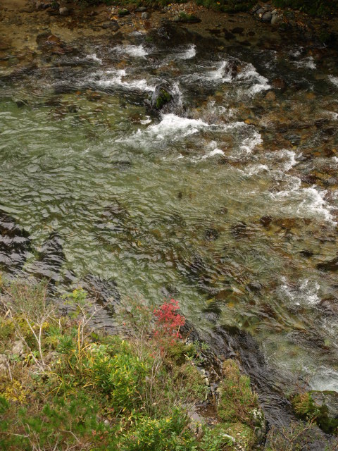 e0256122_17395046.jpg