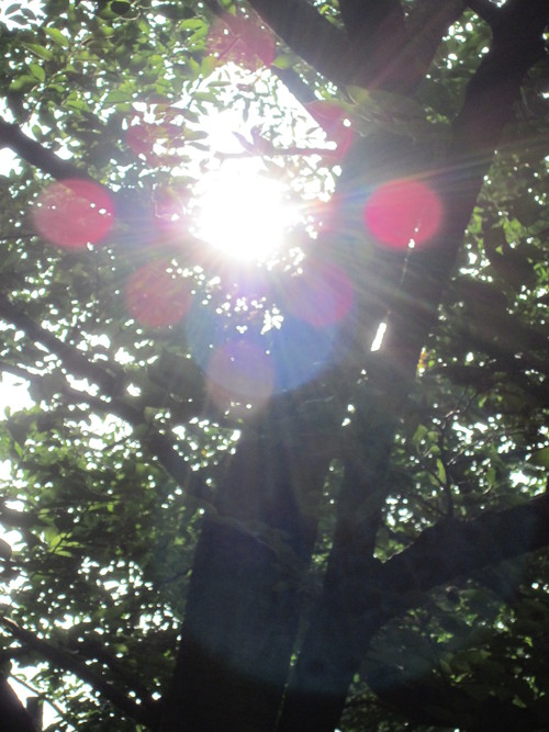 f0136828_2202188.jpg