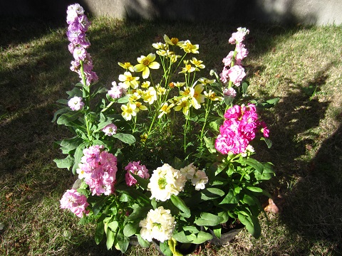 f0002833_18272893.jpg