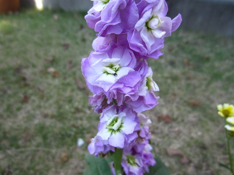 f0002833_1828073.jpg