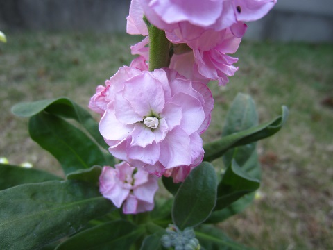 f0002833_18281731.jpg