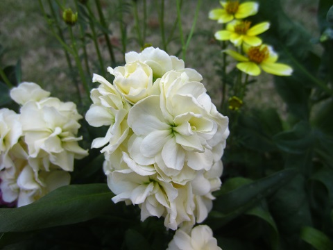 f0002833_182831100.jpg