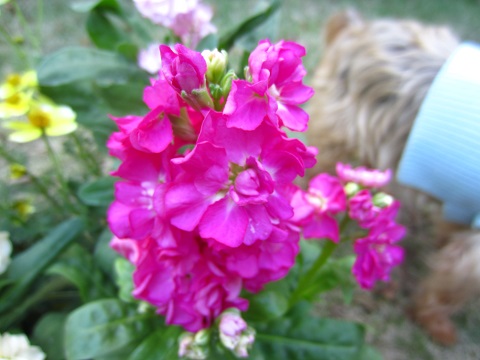 f0002833_18284818.jpg
