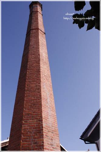 d0249934_209468.jpg