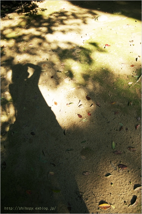 e0011137_20381077.jpg