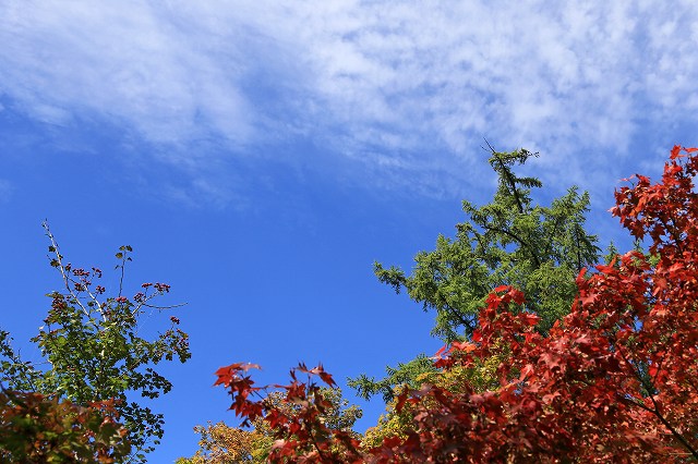 a0242438_19365610.jpg