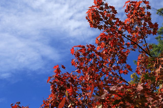 a0242438_1937167.jpg