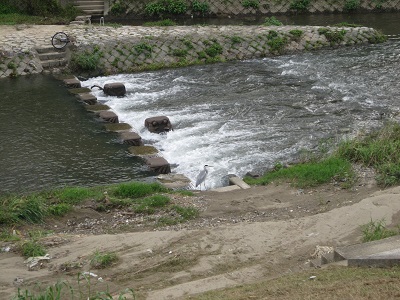e0198839_1622814.jpg