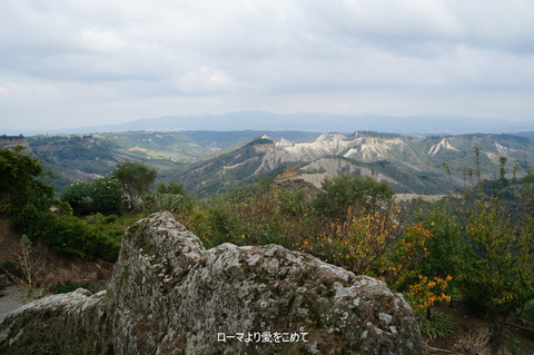 c0206352_2212378.jpg