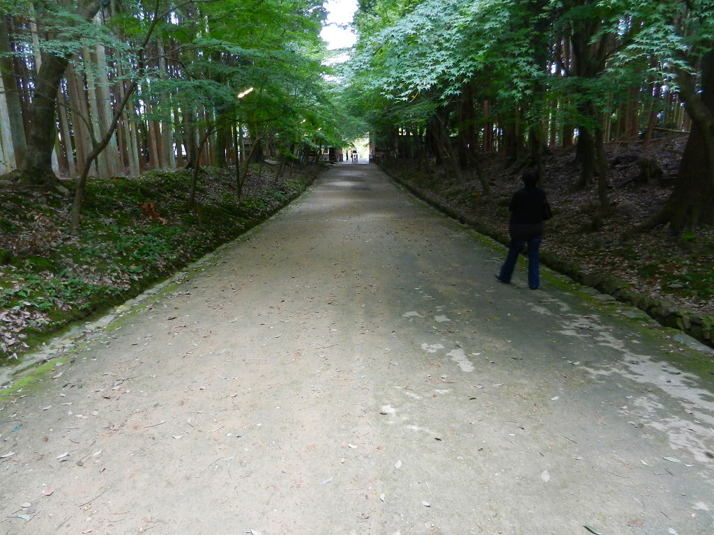 d0137658_2320440.jpg