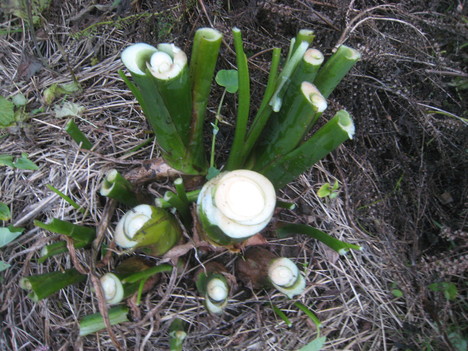 e0121558_2325195.jpg