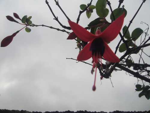 c0108460_2012255.jpg