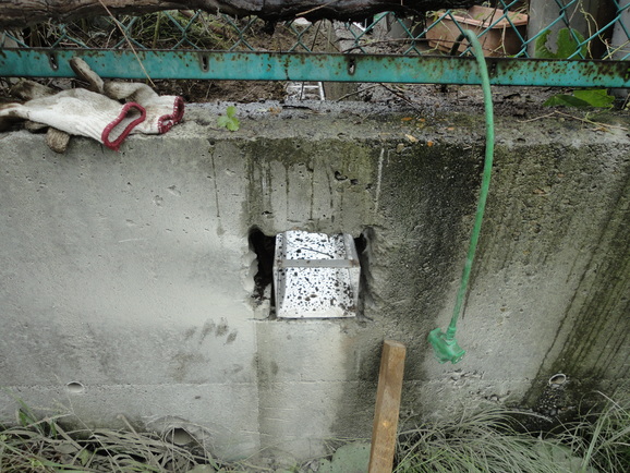 a0118461_20583159.jpg