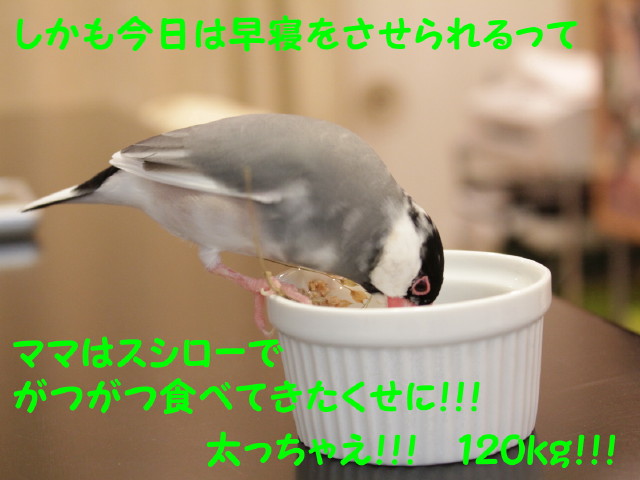 b0158061_21133097.jpg