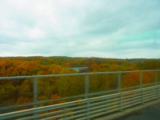 d0249667_184437100.jpg