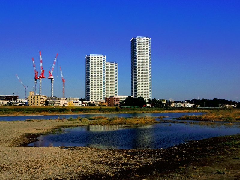 d0031171_8335389.jpg