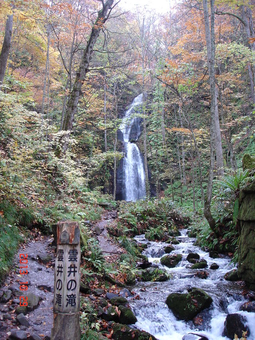 d0165378_1830610.jpg