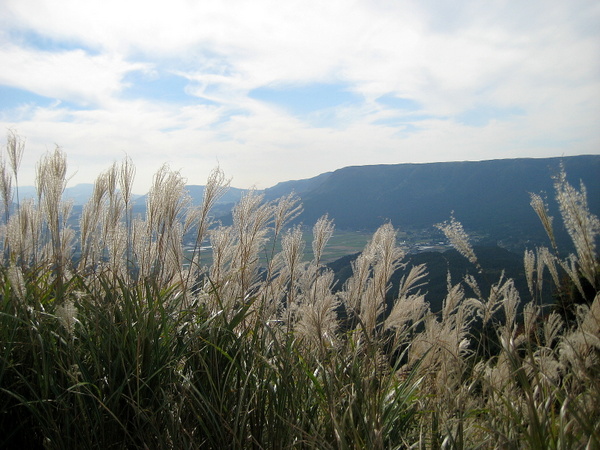 c0221281_2251331.jpg