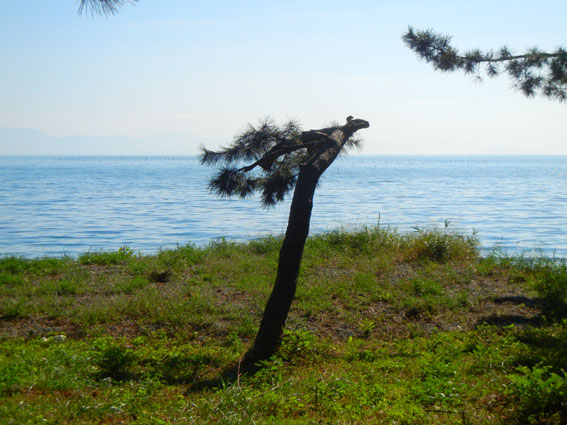 e0074782_20211760.jpg