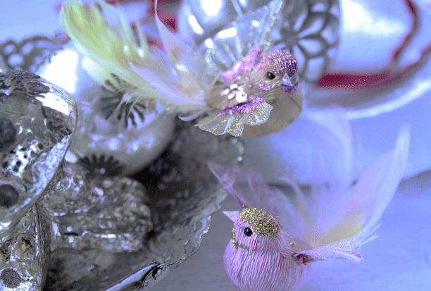 e0237283_1532712.gif